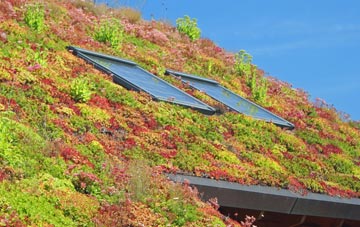 Smannell living roof systems